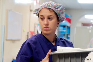 Primer día organizando