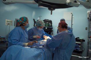 Equipo médico trabajando