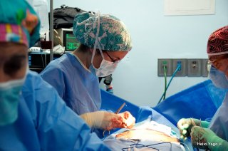 Equipo médico trabajando