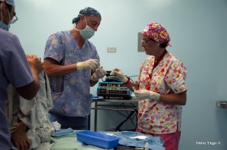 Equipo médico trabajando