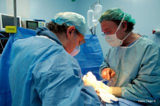 Equipo médico trabajando