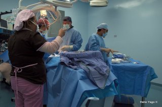 Equipo médico trabajando